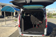 Taxi Ford Tourneo Aeroporto Cagliari: foto 4